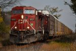 CP 141 CP 8537, CP 9568